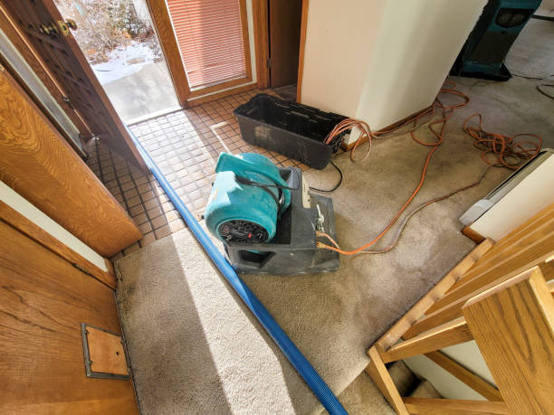 Reliable NM Water damage restoration Solutions