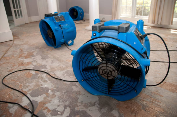 Best Fire Damage Restoration  in Berino, NM