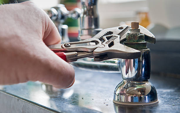 Best Professional water damage repair  in Berino, NM