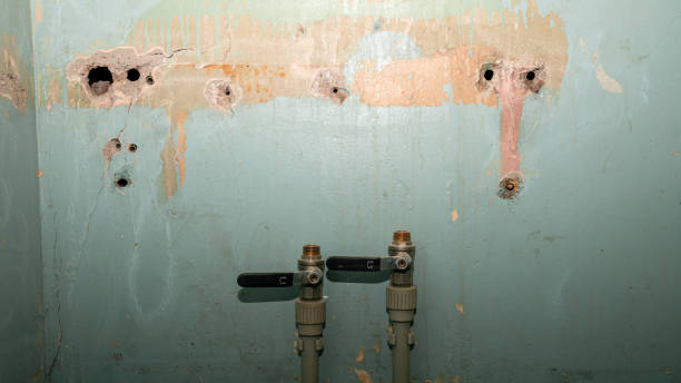 Best Water damage cleanup near me  in Berino, NM