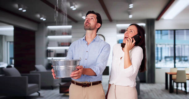 Best Fire Damage Restoration  in Berino, NM